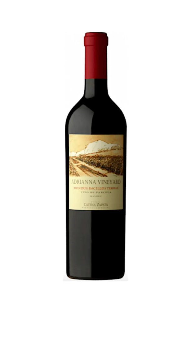 Vinho Catena Zapata Adrianna Mundus Bacilius Terrae 2014 - 750ml